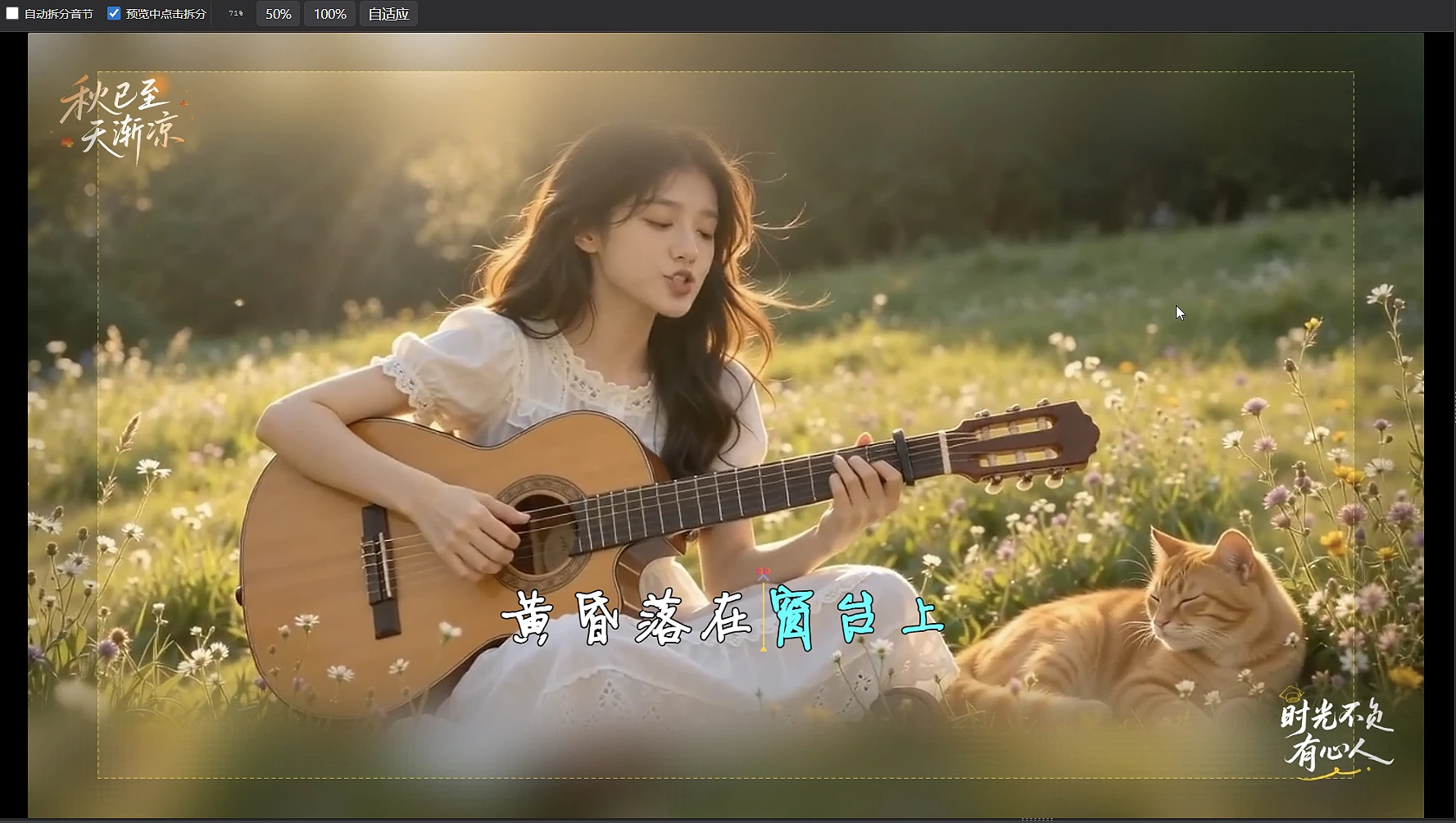 预览视图中分割音节